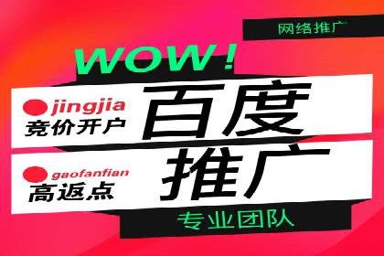 实战派心得：百度竞价代理案例解读与优化技巧